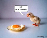 /album/galeria-de-fotos/engracadas-12962-jpg/