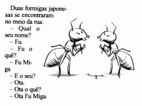 /album/galeria-de-fotos/a14-gif/